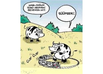 Sonunda hayvanları bile güldürdük