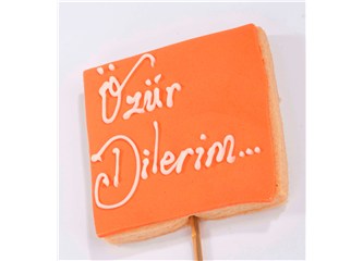 Özür dilerim