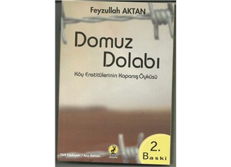 Domuz Dolabı