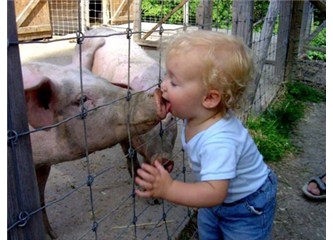 Haram ve günah nedir?