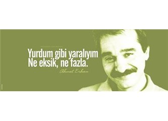 milliyet blog