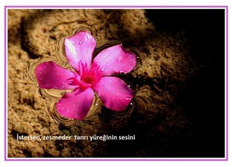 Işık sayarım seni