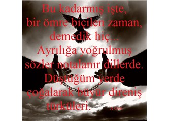 AKP Müslüman bir parti mi?