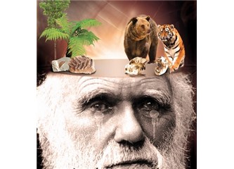 Fosil katmanları Darwin’e neden mutluluktan çok hüzün getirdi?