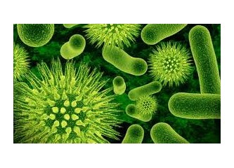 Antibiyotiklere dirençli bakteriler konusu