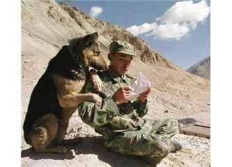 Mektuplaşmak ne güzeldir
