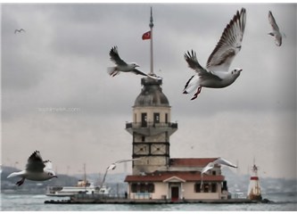Martılar fElan