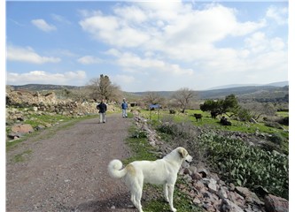 Dağa kaçtım ~~ Çeşme Yarımadası'nda bir bahar günü 2