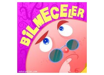 Bilmeceler