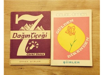Şairini arayan şiir…