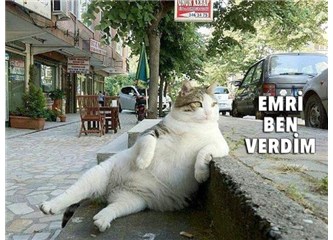 Pardon siz kiminle dans ediyorsunuz?