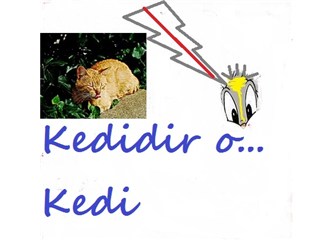 El alem ne derse desin; kedidir o...