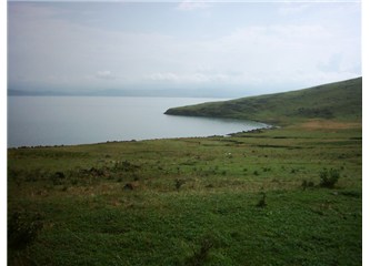 Deli bir şimşek ol