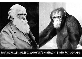 Darvin’in maymunları