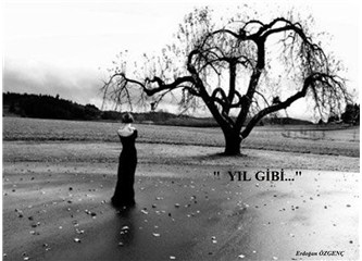 Yıl gibi