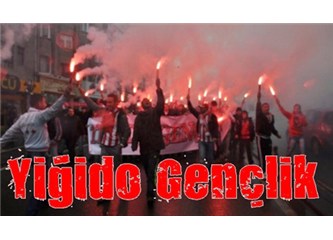 Türkiye’de bölgesel rekabetin şifreleri/Anadolu kaplanları, yiğidolar, gakkoşlar, efeler vs.