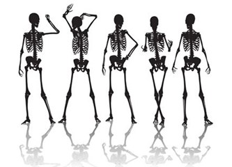 Kemiklerimiz arasındaki mükemmel yağlama sistemi, Resimler