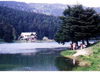 Bolu