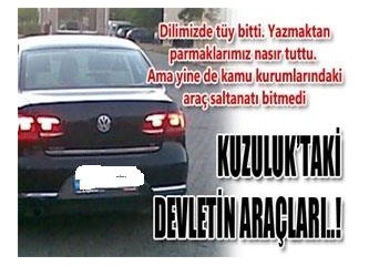 Millete iktisat, Mecliste saltanat