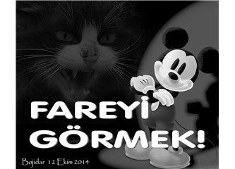 Fareyi görmek!