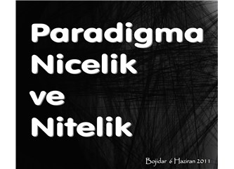 "Paradigma", "Nicelik" ve "Nitelik"