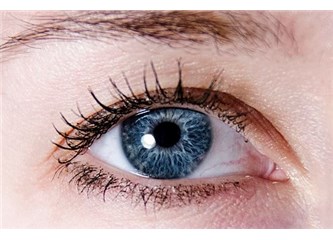 Bir Kuran mucizesi paylaşalım: Göz tabakası Retina