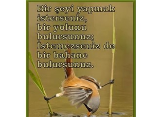 Görüntüler