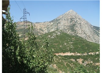 Başarıya doğru