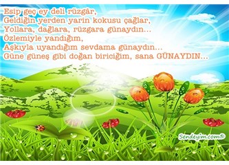 Havaya giden değerler/Boş arabalar, boşa akan sular, koklanmadan solan çiçekler…