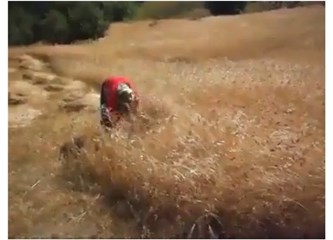 Tarımda kadınlarımız