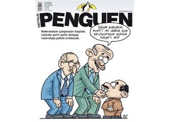 Seçemeyen seçmen