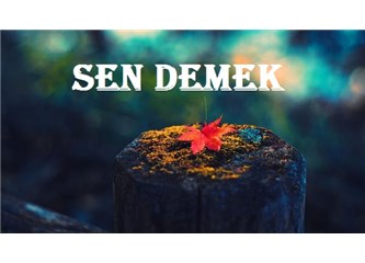 Sen demek...