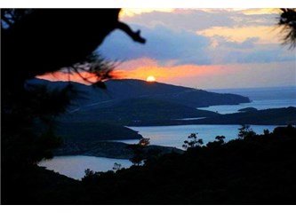 Soma'dan sonra Foça'ya, Milliyet Blog bayrağını diktik.