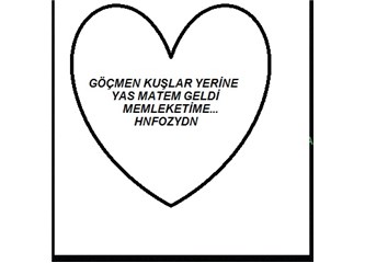 Göçmen kuşlar yerine yas matem mi geldi memleketime?!