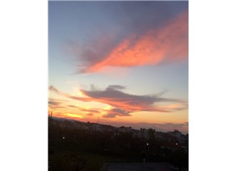 Kasım Güneşi..