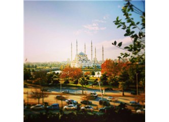 Bu Adana sahipsiz mi ? (şikayetciyiz efendim)