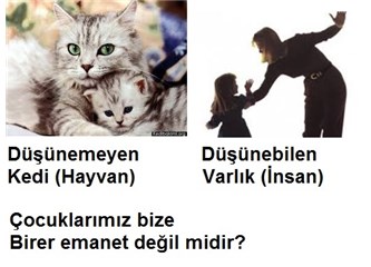 Türk eğitim anlayışı; Çocuklarımızı eğitim adına döverken, aslında kimleri, neleri dövmekteyiz (5)