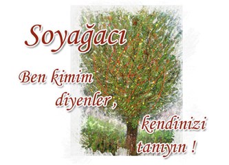 TC kimlik no ile soy ağacı çıkarmak mümkün mü?