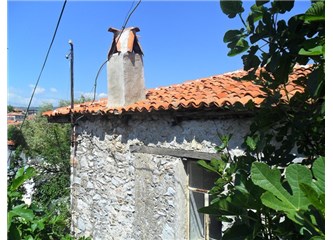 Gayınnamın akıllı telefonnan imtaanı - Muğla şivesiyle bir öykü
