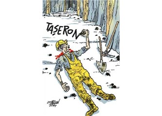Kömür karesi // Yeryüzü tanığı