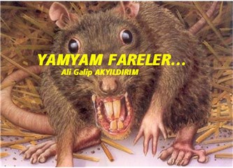 Yamyam fareler…