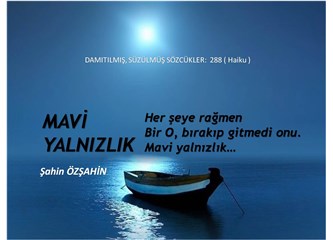 Sırılsıklam, mavi yalnızlıklar