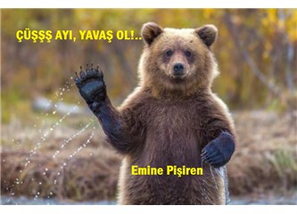 Çüşş Ayıı, yavaş ol!