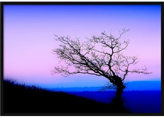 Süzme sözcükler 311: (Haiku) Sanal mutluluk