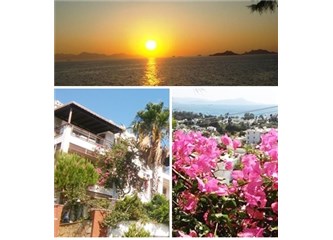 Bodrum tatili ve gözlemlerim