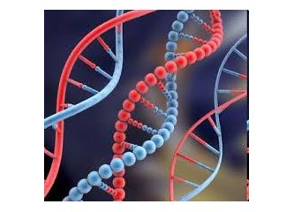 DNA yapımız değişiyor!!!