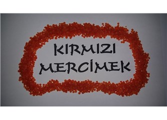 Danasız Tavuk pişer mi?