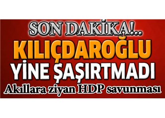 HDP arkasını kime dayamıştı?