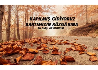 Kapılmış gidiyoruz bahtımızın rüzgârına