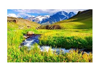Süzme sözcükler 323: (Haiku) Pilavdan dönenin